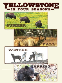 Yellowstone in Four Seasons Trailer
