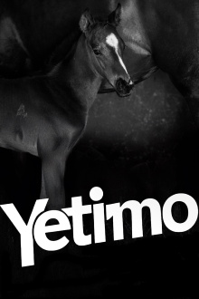 Yetimo Trailer