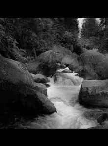 Yosemite Trailer