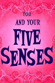 You and Your Five Senses Trailer