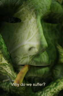 You are Light and Cabbage Trailer