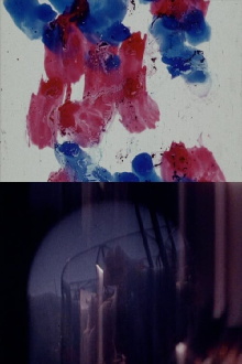 You Can See Trailer