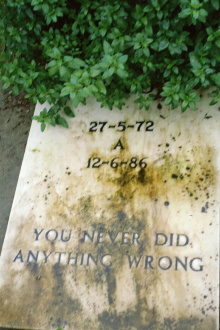 You never did anything wrong Trailer
