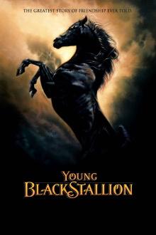 Young Black Stallion Trailer