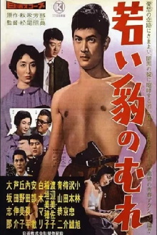 Young Panther Trailer