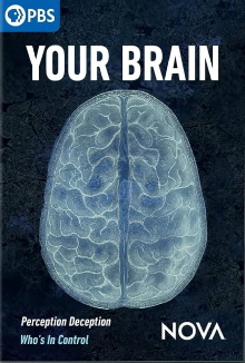 Your Brain Trailer