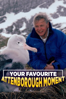 Your Favourite Attenborough Moment Trailer