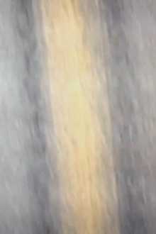 YUL20A Trailer
