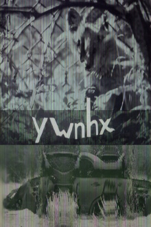 ywnhx Trailer