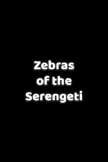 Zebras of the Serengeti Trailer