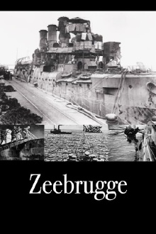 Zeebrugge Trailer