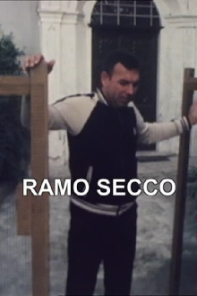 Zibaldino 86 Ramo secco Trailer