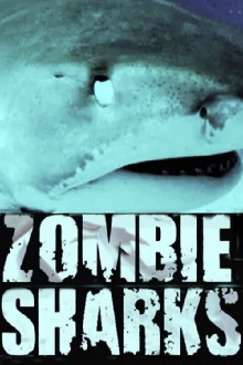 Zombie Sharks Trailer