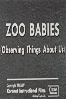 Zoo Babies (Observing Things About Us) Trailer
