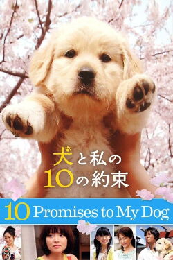 10 Promises to my Dog (2008)