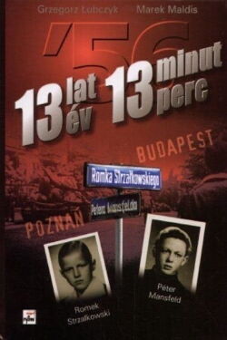 13 Years, 13 Minutes (2008)