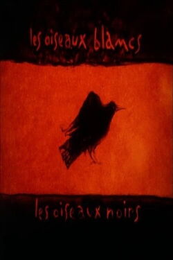 25, Passage de Oiseaux (2003)
