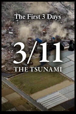 3/11-The Tsunami: The First 3 Day (2021)