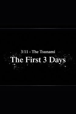 3/11 - The Tsunami: The First 3 Days (2021)