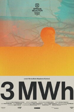 3 MWh (2024)