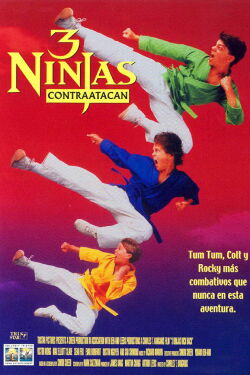 3 Ninjas al rescate (1994)