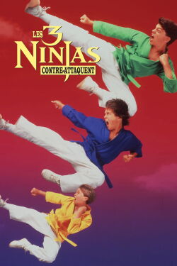 3 ninjas contre-attaquent (1994)