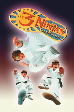3 Ninjas Knuckle Up (1995)