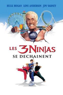3 ninjas : plein midi à la foire (1998)