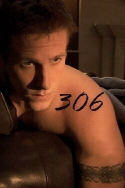 306 (2010)