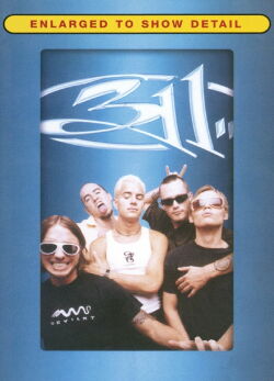 311: Enlarged to Show Detail (1996)