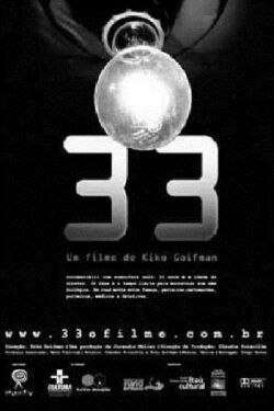 33 (2004)