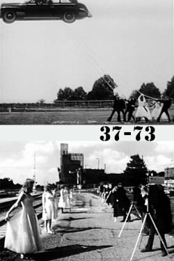 37-73 (1974)