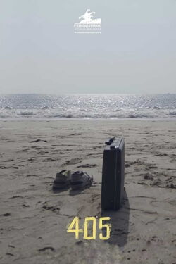 405 (2019)