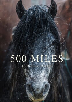 500 Miles - The Story of Ranchers and Horses (2017)