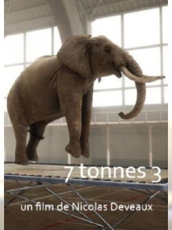 7 Tonnes 2 (2004)