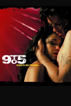 9to5: Days in Porn (2008)