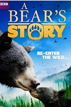 A Bear's Story: Spirit's Adventure (2016)