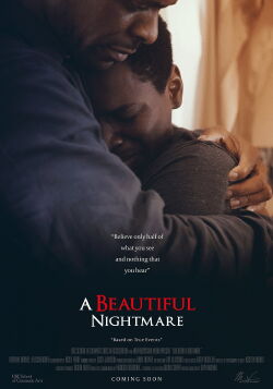 A Beautiful Nightmare (2019)