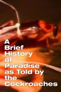 A Brief History of Paradise as Told by the Cockroaches (2003)