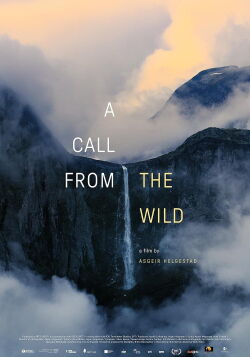A Call from the Wild (2024)