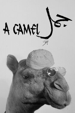 A Camel (1981)