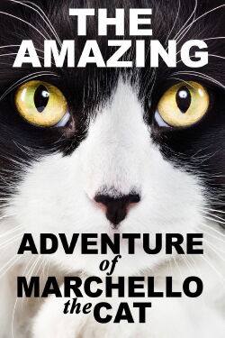 A Cat's Tale (2008)
