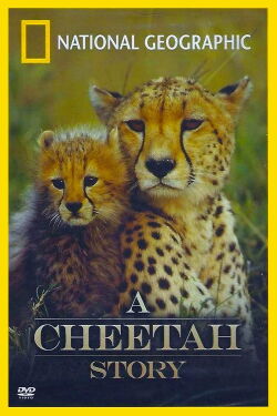 A Cheetah Story (1999)