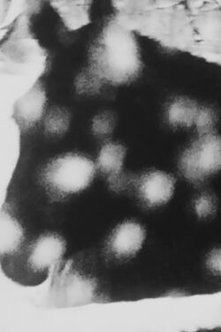 A Constellation of 6 Super 8 Films (2021)