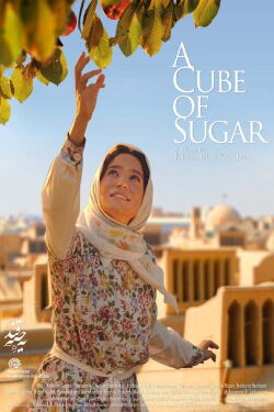 A Cube of Sugar (2011)