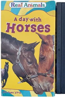 A Day with Horses (1995)