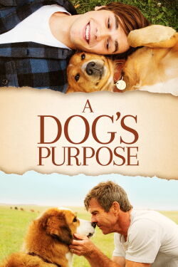 A Dog's Purpose (2017)