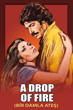 A Drop of Fire (1982)