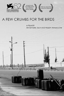 A Few Crumbs For Birds (2005)