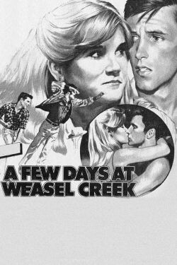 A Few Days in Weasel Creek (1981)